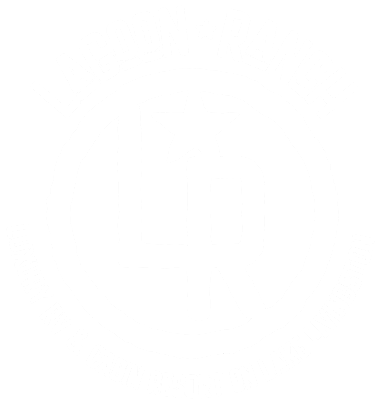Logo of Lagoon Ranch featuring the initials 'LR' in a circle with a star above. Text reads: 'Luxury RV & Cabin Resort on Lake Livingston