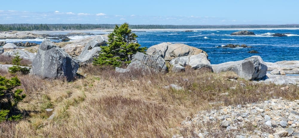 Seaside Park in Nova Scotia, with rocks and grass near the ocean, showcasing the effects of Hurricane Damage.