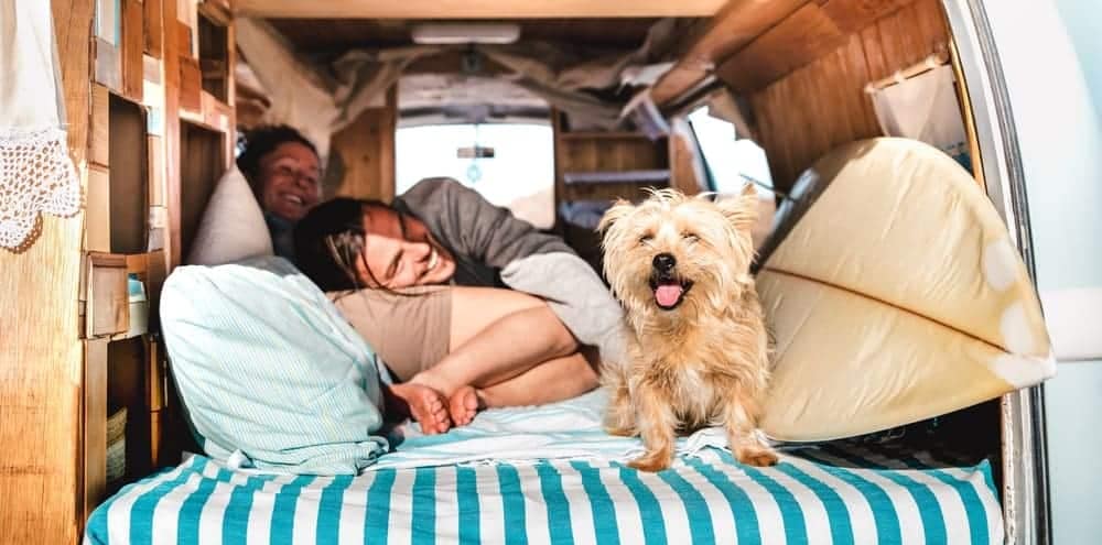 Two millennials lounging on an RV bed with their dog.