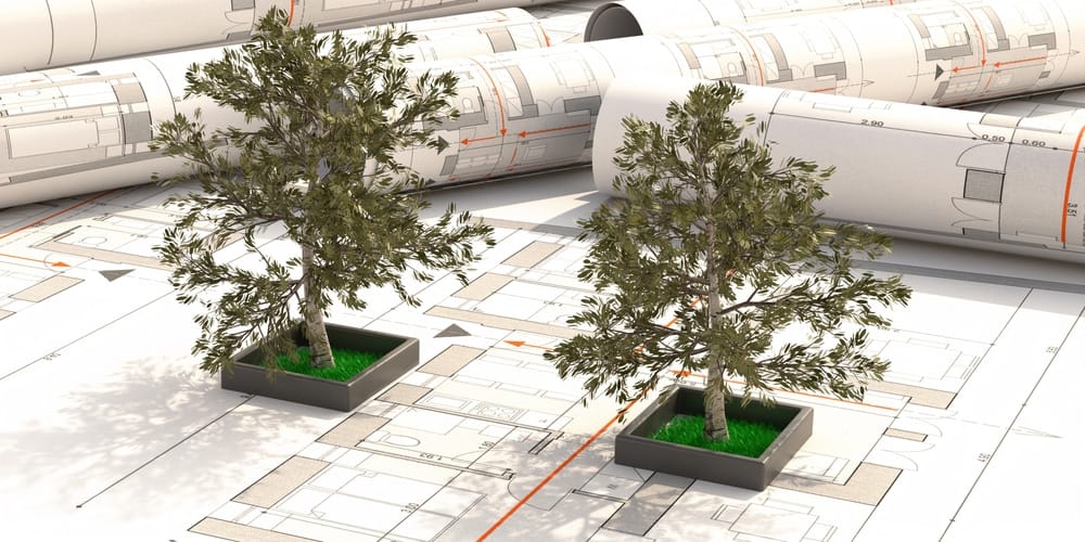 Two trees are sitting on top of blueprints, showcasing the offerings of Kibby Creek Campground.