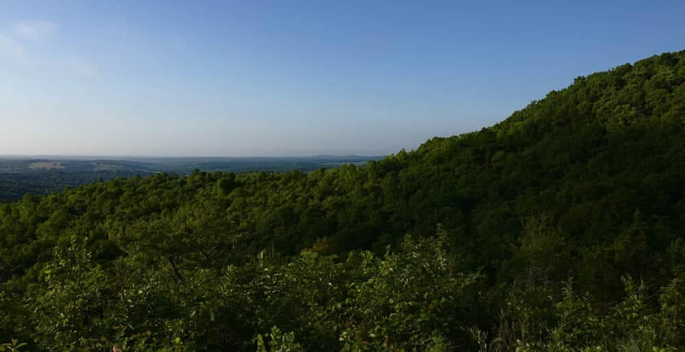 A view from the top of Lane Spring Recreation Area hill overlooking a forest.