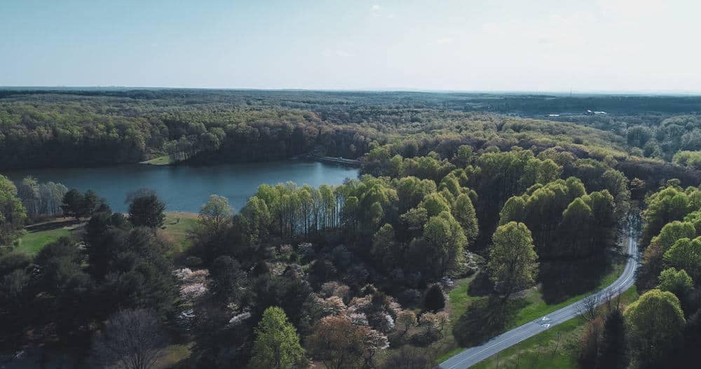 An aerial view of a popular State Park in Maryland, showcasing a serene forest and a picturesque lake.