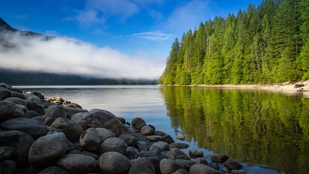 A serene lake nestled amidst a lush forest teeming with towering trees and rugged rocks.