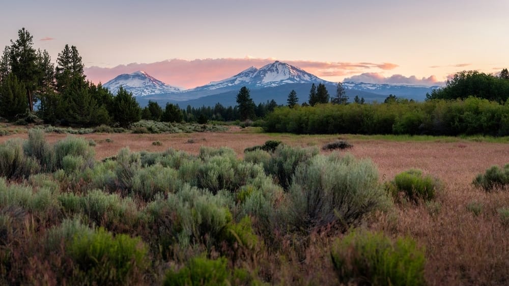 A United Against Wildfires initiative presents a stunning sunset over a grassy meadow with mountains in the background, showcasing Oregon's Governor's dedication to Prevention and Response Strategies.