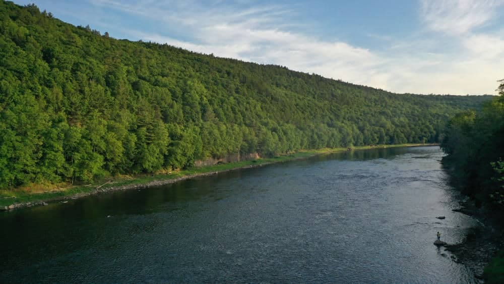 Northgate acquires an aerial view of a river surrounded by trees.