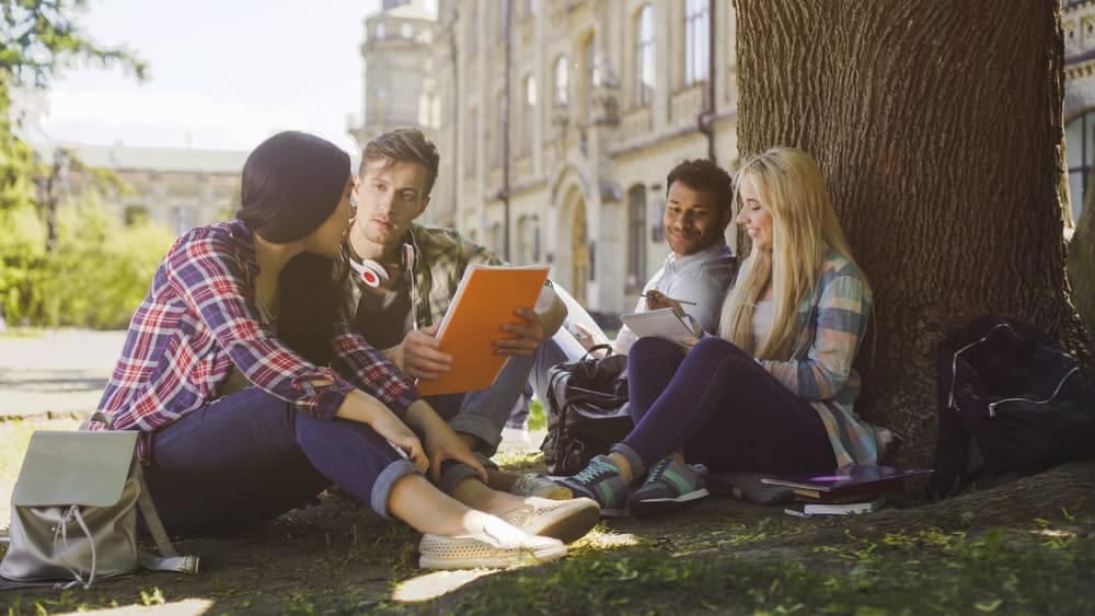 A group of students from RVTI sitting under a tree exploring alternative career paths.