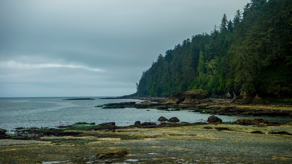 A rocky shore along the Juan de Fuca Marine Trail with trees and a cloudy sky.
