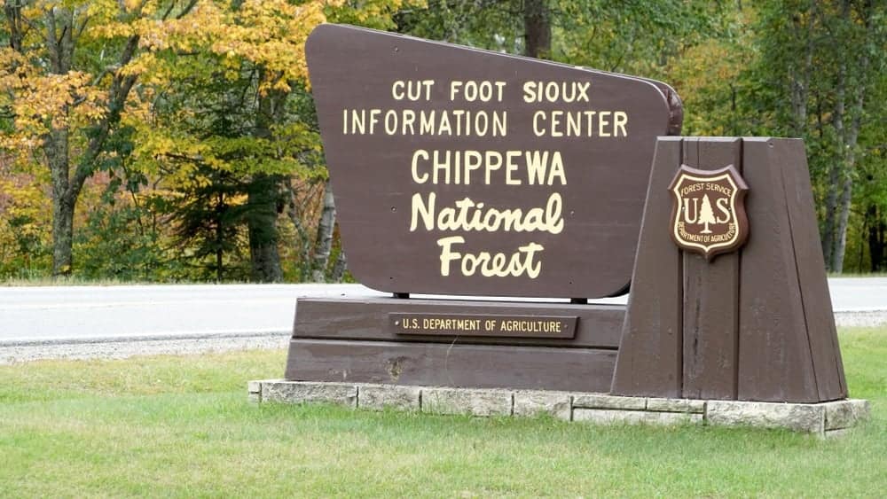 Oak Haven Resort, a campground in Chippewa National Forest, is now the proud new owner of Outfoot Skunk Information Center.