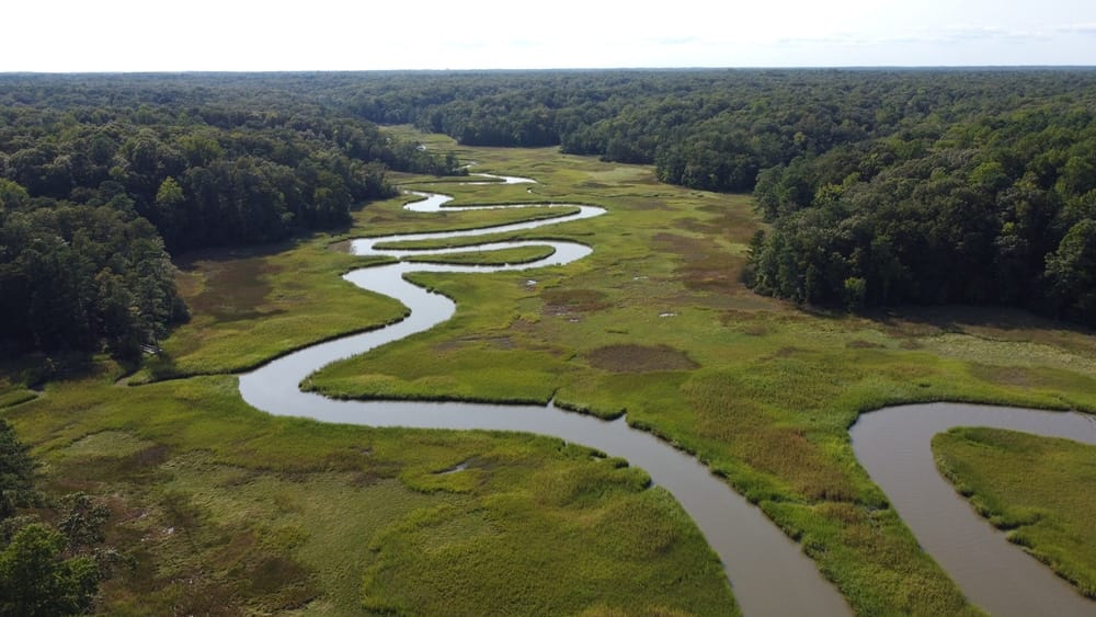 An aerial view of the York River running through a forest at York River State Park.