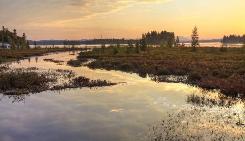 The sun is setting over a marshy area with trees near Tioga Point Campground.