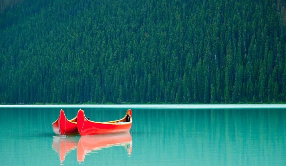 Two Canadian canoes floating in a lake during summer.