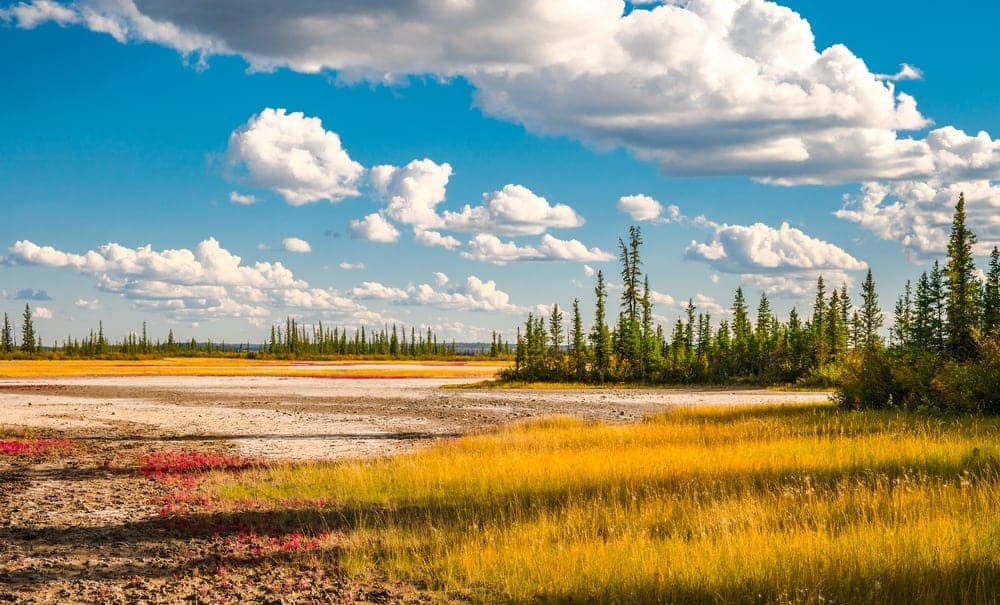 Yellowstone National Park is a breathtaking destination located in the Yukon region of Canada. This UNESCO World Heritage site offers stunning landscapes, abundant wildlife, and thrilling geothermal features. Explore the diverse ecosystems