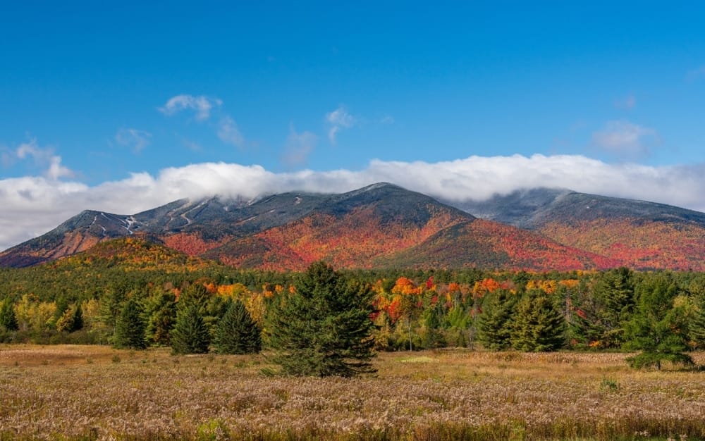 A luxury glamping experience at Terramor Outdoor Resort, nestled in a magnificent mountain range during the vibrant fall season. The picturesque landscape features breathtaking views of trees and majestic mountains as the backdrop