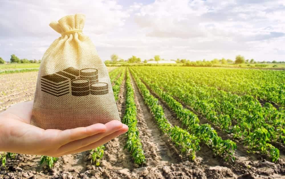 A hand holding a sack of money in front of a field, symbolizing the financial support provided by Historic Preservation Grants to National Park Service and States.