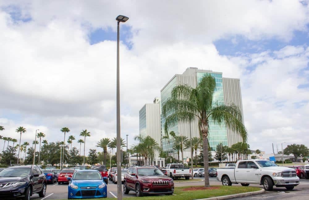 Cars parked in a parking lot with palm trees, showcasing the vibrant atmosphere of the Sunshine State.