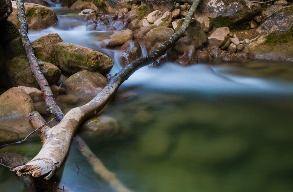In a forest campground in Michigan, a stream softly meanders through the landscape, adorned with smooth rocks and graced by the presence of a fallen tree.