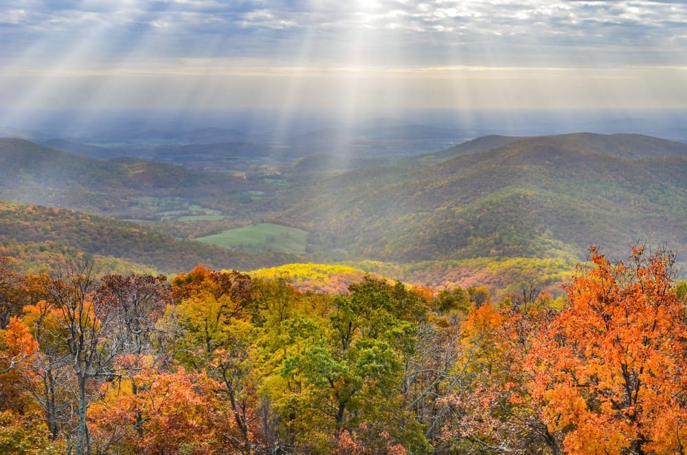 The Shenandoah mountains in the fall with sun rays shining through the trees.