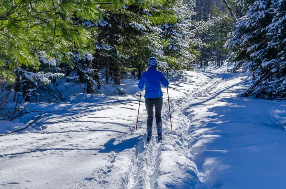 A cross country skier enjoying the winter magic on a trail in one of Michigan State Parks.