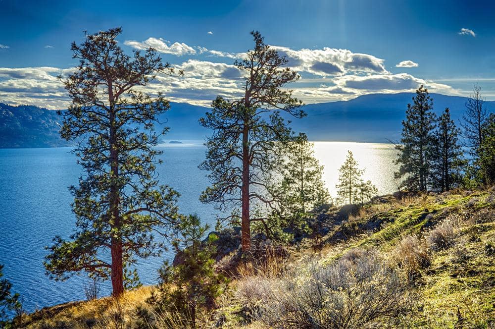The sun shines over a lake with trees in the background near Peachland Campground.