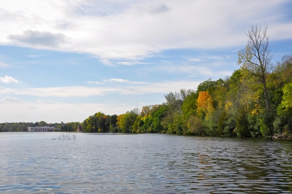 Lakefield Campground, nestled within the scenic Otonabee Region Conservation Authority, features a tranquil lake encircled by lush trees and adorned with a vibrant blue sky.