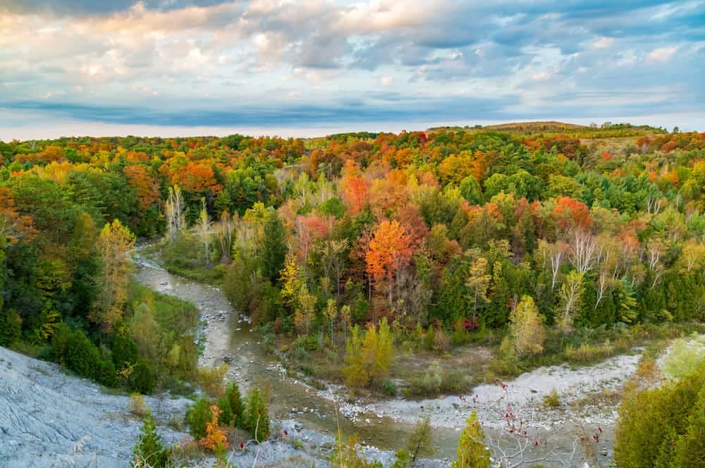 A view of a forest with colorful trees and a river, showcasing the Canadian Government's commitment to protecting critical natural spaces.