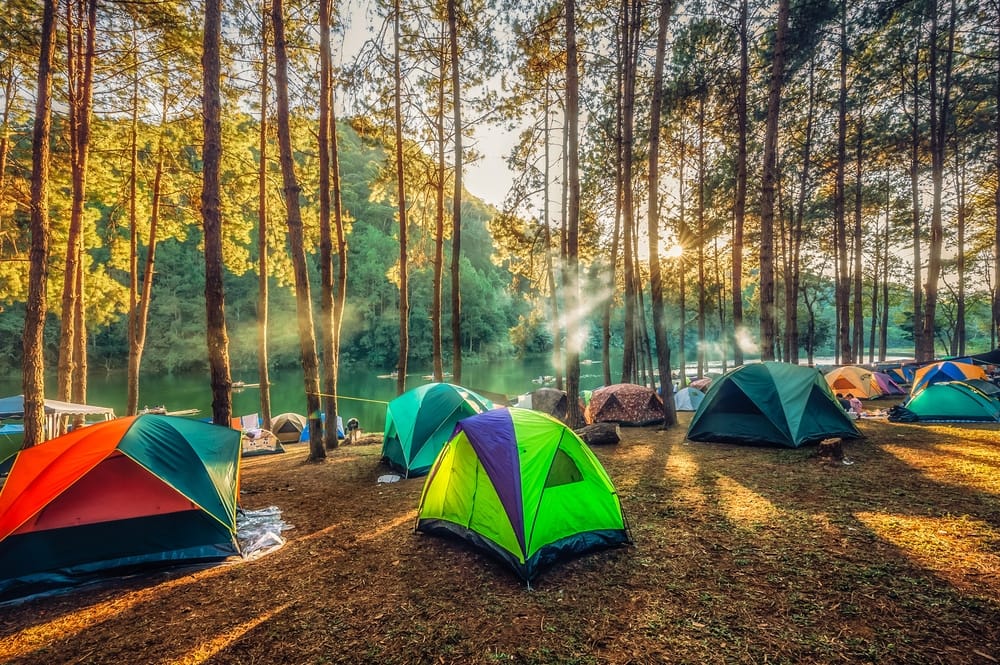 A group of cramped tents set up in a wooded area, adhering to COVID restrictions.