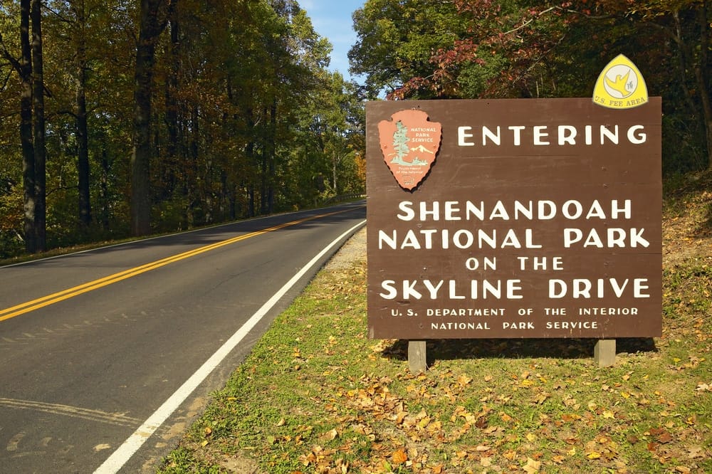 Shenandoah National Park's annual Wildflower Weekend