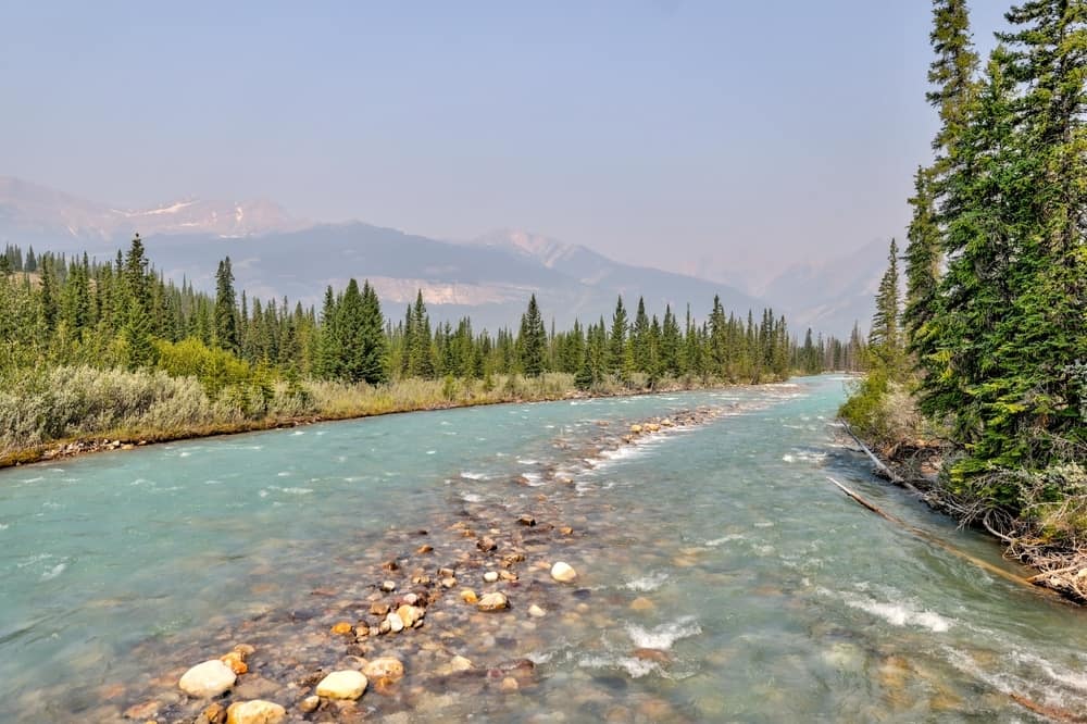 A river running through a forest with mountains in the background, where visitors can enjoy the beauty of nature and utilize their Free Regional Park Passes.