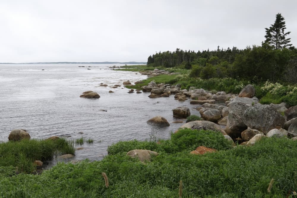 A picturesque landscape in Nova Scotia featuring a large body of water adorned with rocks and surrounded by lush green grass.