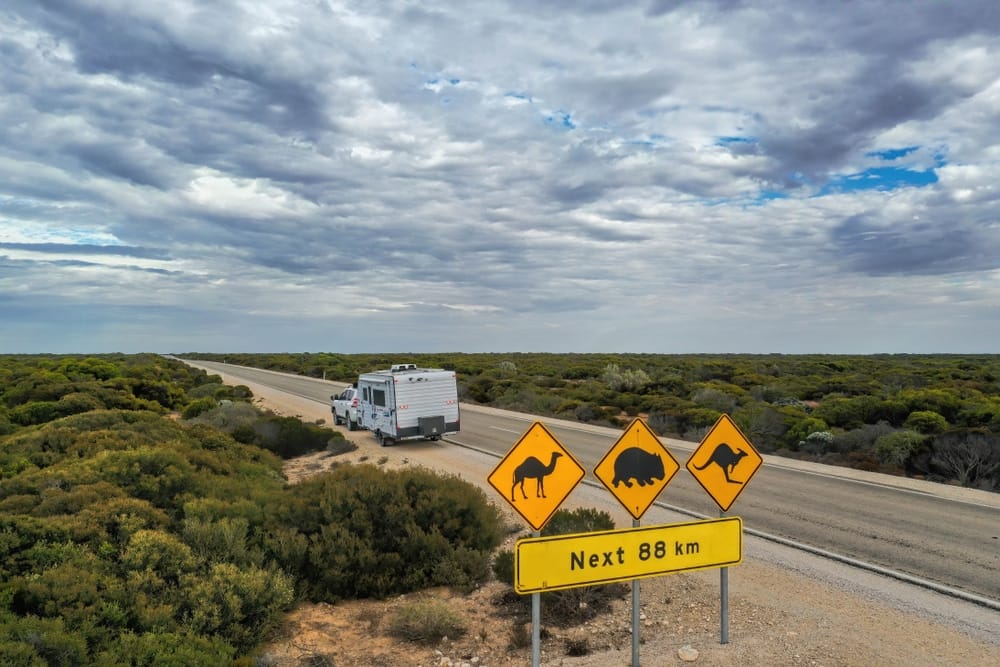 An RV Importer road sign featuring kangaroos and RVMAP Accreditation in Australia.