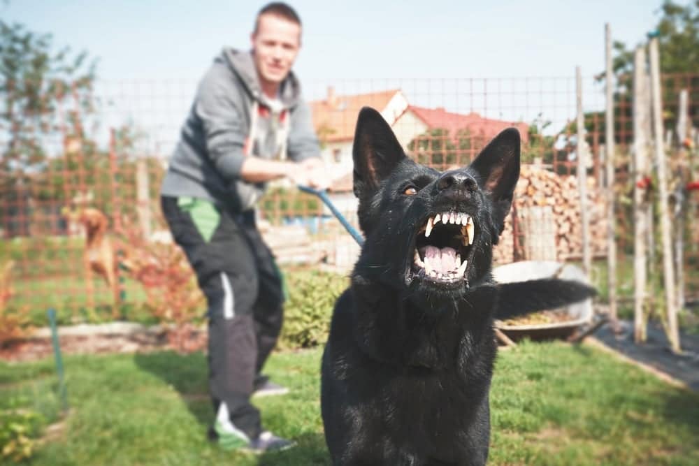 In an investigation at a Texas RV park, a man is seen tightly holding a black dog with its mouth open.
