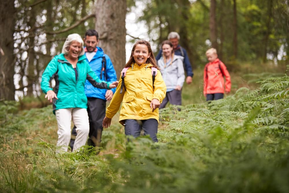 A group of people camping and hiking in the woods.