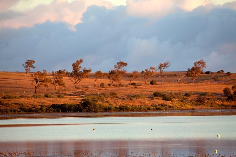 A remote camping adventure in South Australia during the summer, surrounded by a serene lake and lush trees under the clear sky dotted with fluffy clouds.