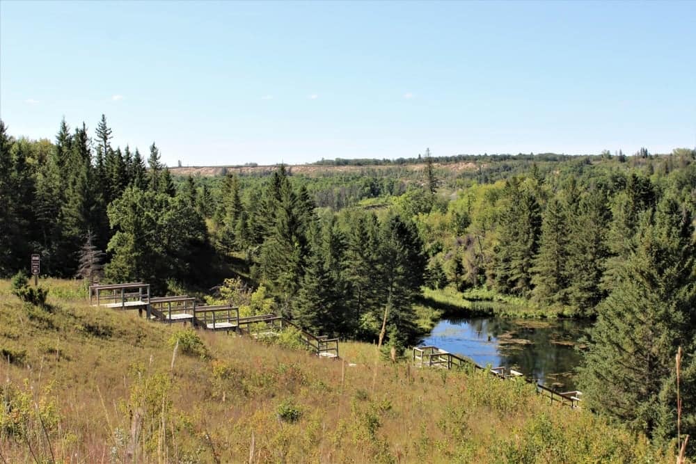 Manitoba allocates Parks Improvements for a forest view with a pond and trees.