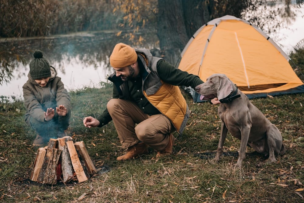 A couple with a dog enjoying a campfire together.