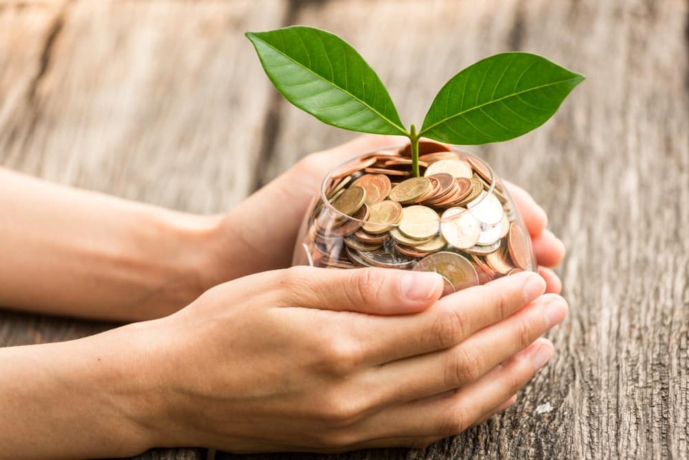 A woman's hand holding a glass with coins and a plant growing out of it, representing the success of campground operators in New York who consistently record high occupancies.