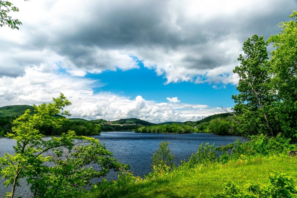 A proposed RV park nestled amidst the lush green grass and majestic trees, set against the backdrop of a cloudy sky.