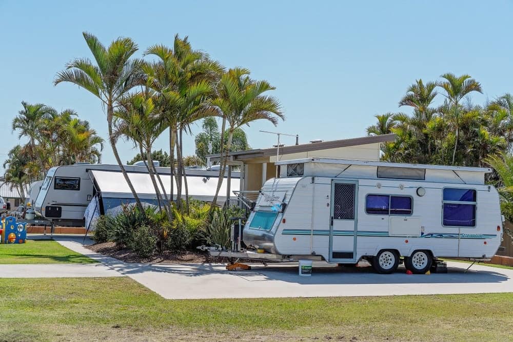 Two Ingenia branded rvs parked in a grassy area with palm trees.