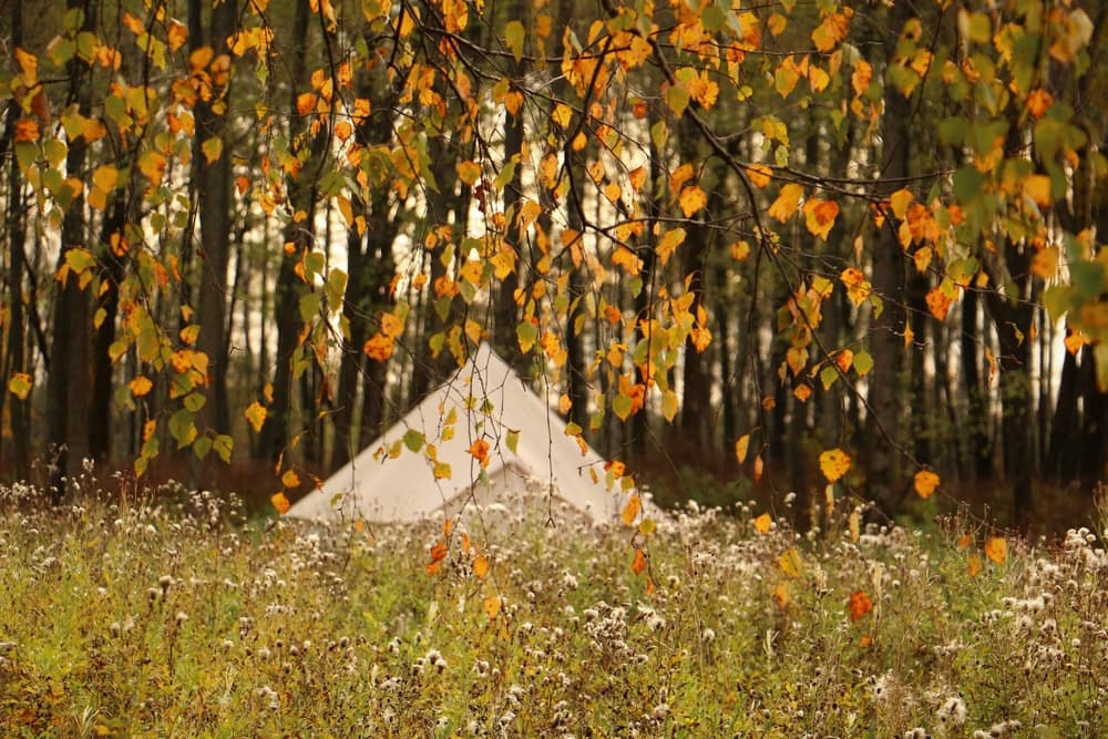A white tent in the middle of a grassy field in Wyoming.