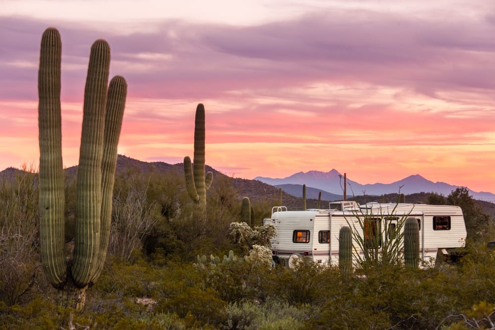 A winter Texan season rv parked next to a cactus in the desert.