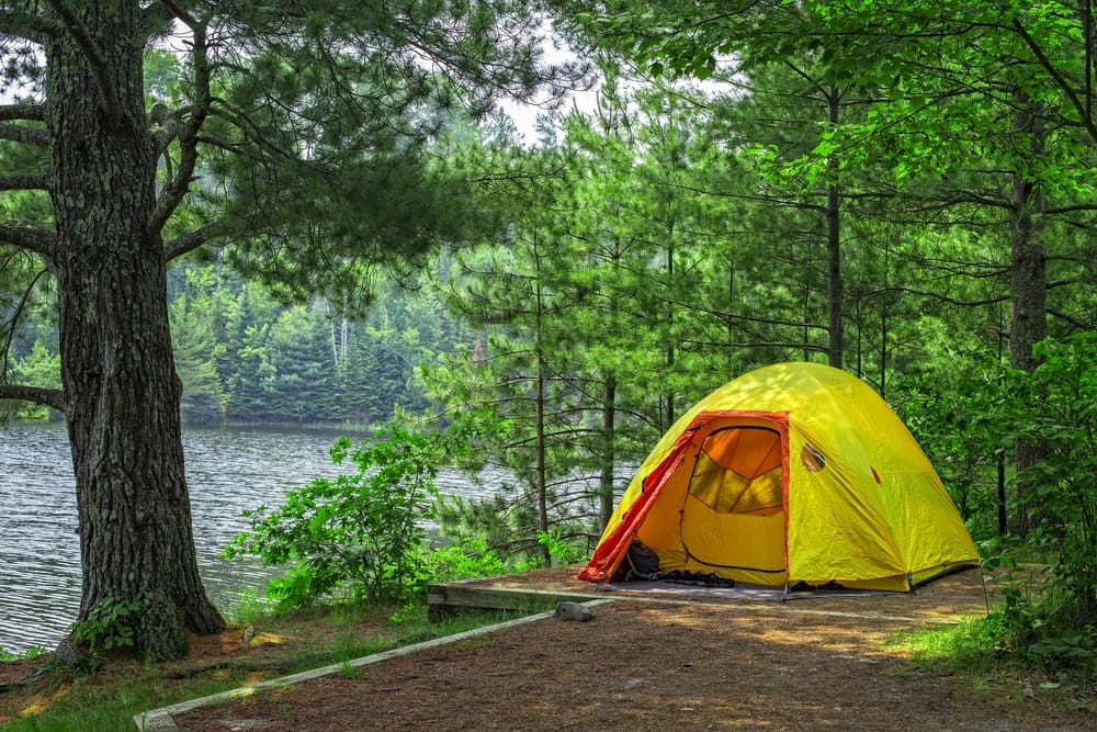 A vibrant yellow tent sits on the peaceful shoreline of Voyageurs National Park.
