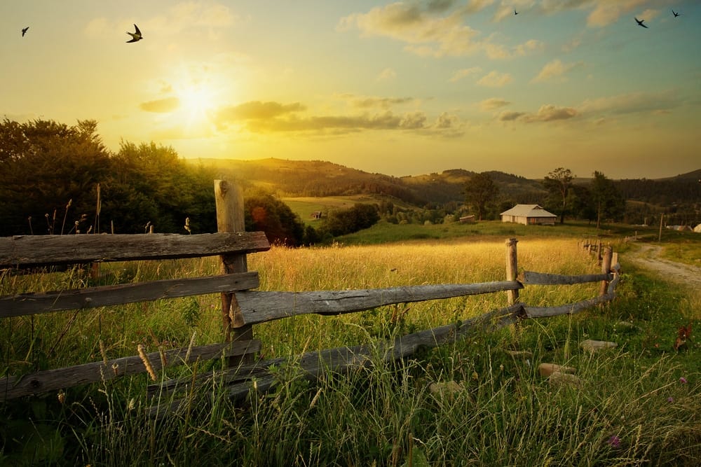 A Virginia Farm with a wooden fence in the middle of a field.