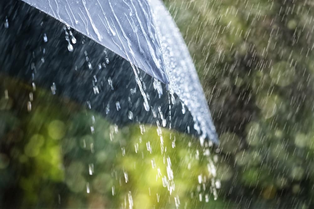 A close up of an umbrella in the rain.