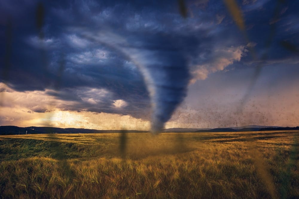An image of a tornado, considered one of the US's costliest natural disasters, ravaging a field.