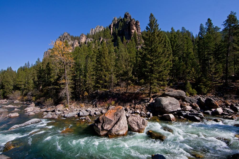 The Gallatin River flows through a picturesque landscape of trees and rocks.
