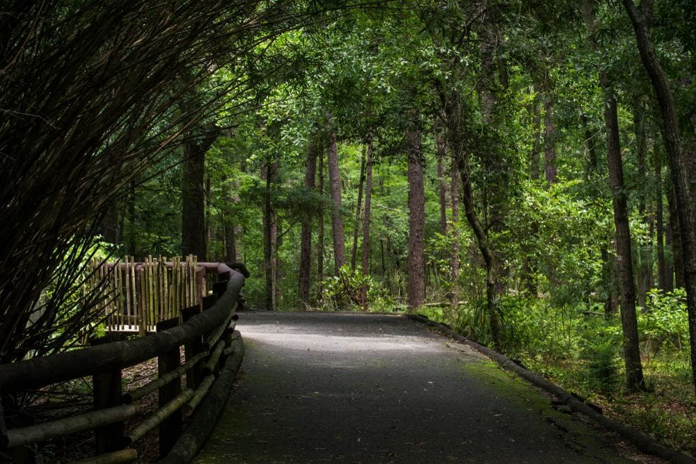 Officials discuss camping on a path through a wooded area with trees in the background.