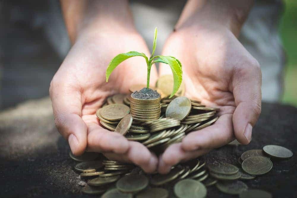 Hands holding coins with a plant growing out of them, symbolizing the importance of wildlife conservation.
