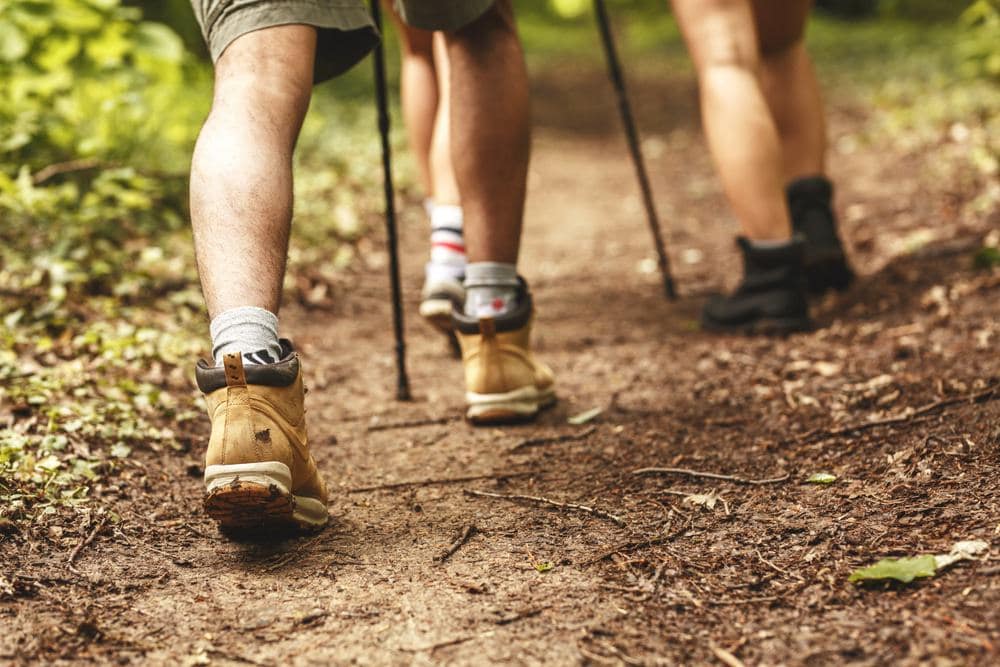 Two residents walking on a trail in the woods of Washington State Parks.