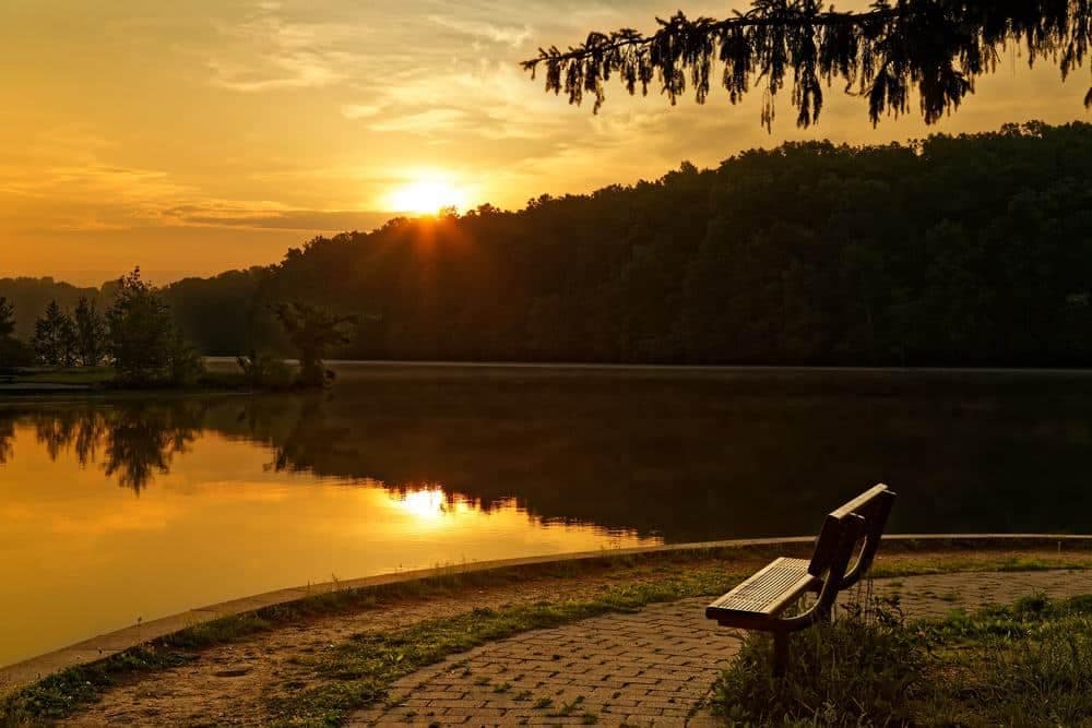 A bench sits in front of a lake at a Pennsylvania State Park, offering breathtaking views of the surrounding forests during sunset.