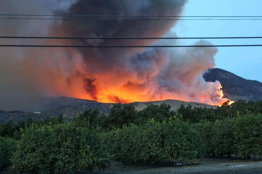 A wildfire, believed to be caused by PG&E, rages near an orange orchard in California in 2022.